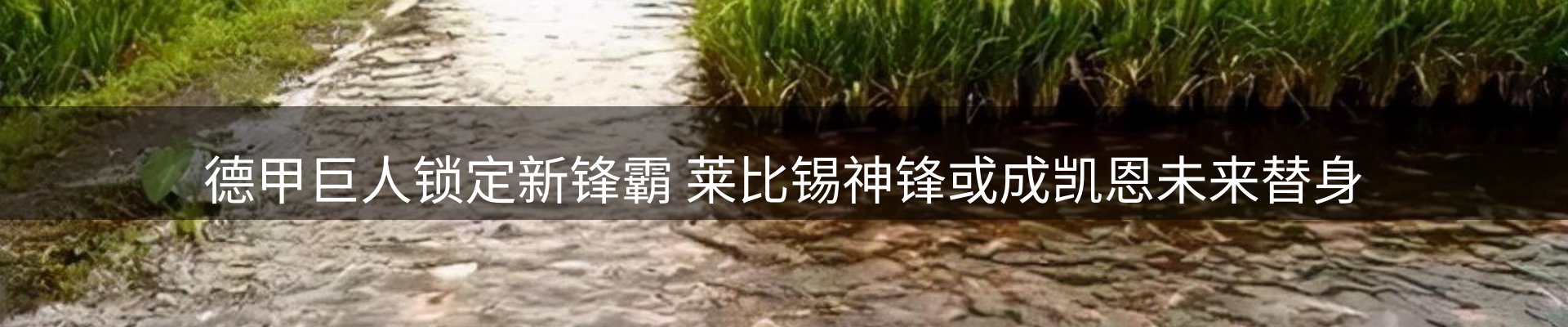 品牌资讯