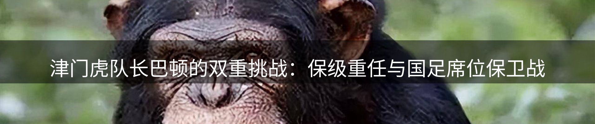 品牌资讯